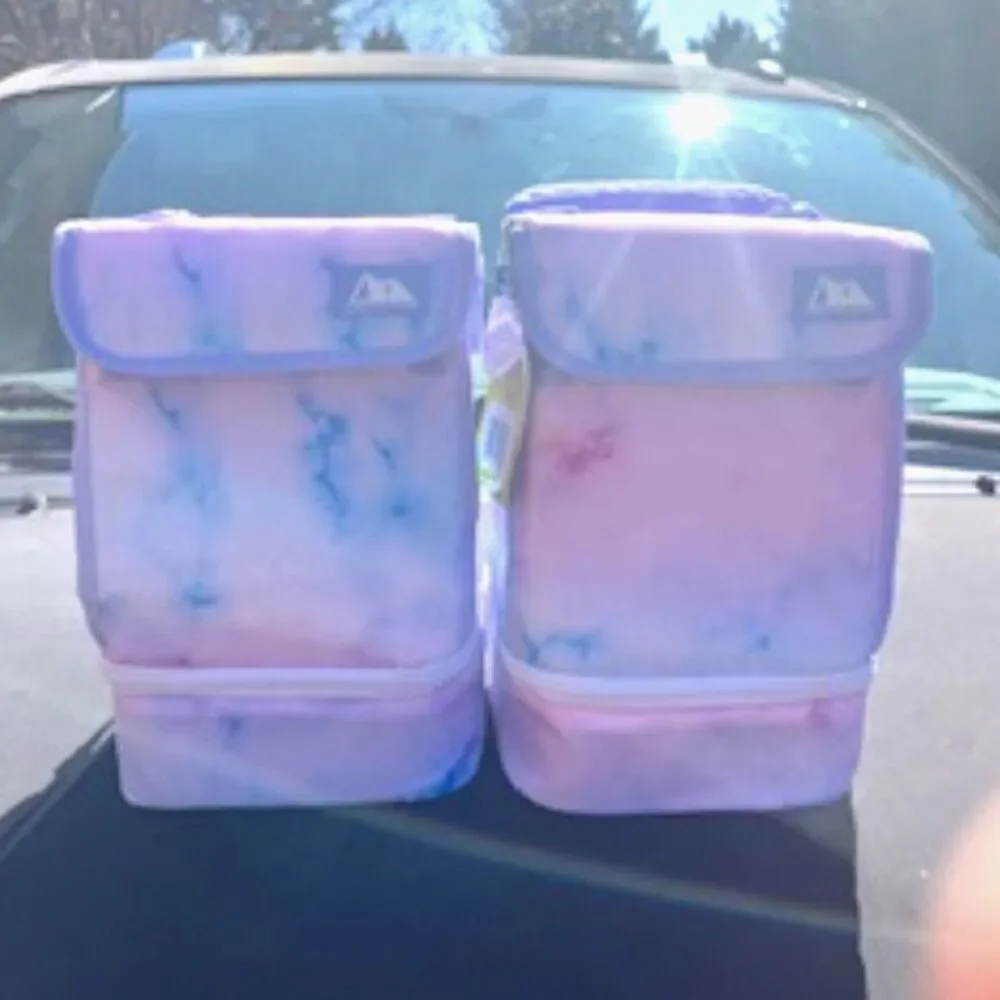 {2} Compartment Thermal Insulated Lunch Bags w/ Padded Handle {2} Pcs Artic Zone